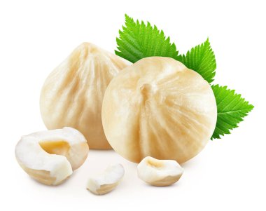 Fındık. Fındık fındığı ve fındık çekirdeği. Fındık Kırpma yolu.