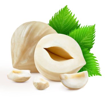 Beyaz arka planda yeşil yapraklı fındıklar. Fındık yığını tam derinlikte makro çekim yapıyor. Fındık kesme yolu