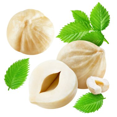 Fındık, beyaz arka planda izole edilmiş. Fındık Kırpma Yolu. Koleksiyon makro çekimi