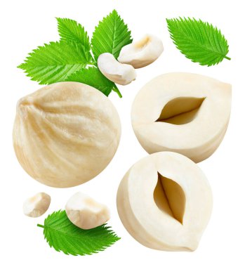 Fındık, beyaz arka planda izole edilmiş. Fındık Kırpma Yolu. Makro çekim ayarlayın