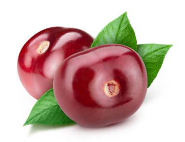 Kiraz yaprağı üzerinde beyaz izole. Kiraz kırpma yolu. Profesyonel stüdyo makro çekim