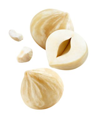 Fındık, beyaz arka planda izole edilmiş. Uçan Fındık Kırpma Yolu. Koleksiyon makro çekimi