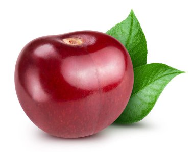 Yapraklı kiraz. Cherry beyaz arkaplan kırpma yolunda izole edildi. Vişne stüdyosu fotoğrafı