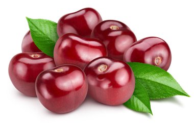 Kiraz beyazda izole edilmiş. Kiraz yaprağı kırpma yolu. Kiraz makrosu atışı