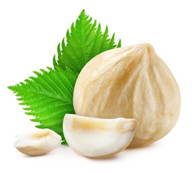 Fındık, beyaz arka planda izole edilmiş. Fındık Kırpma Yolu. Fındıklı makro atış.