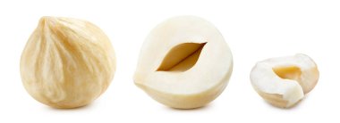 Fındık, beyaz arka planda izole edilmiş. Fındık Kırpma Yolu. Koleksiyon makro çekimi