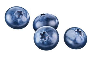 Beyaz arka planda yaban mersini izole edilmiş. Yabanmersini makro stüdyo fotoğrafı. Yaban mersini Yolu kırpılıyor