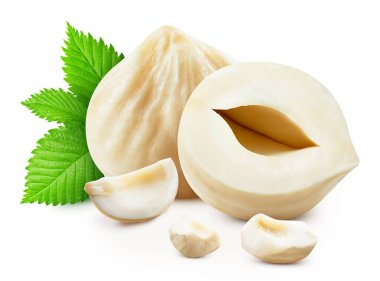 Fındık fıstığı beyaz arka planda izole edilmiş. Fındık yaprağı makro stüdyo fotoğrafı. Yol Fındıkları Kırpılıyor