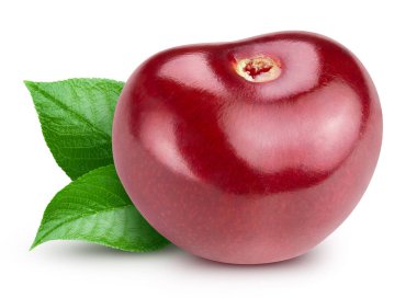 Beyaz arka planda yaprağı olan tatlı kirazlar. Kiraz Kırpma yolu