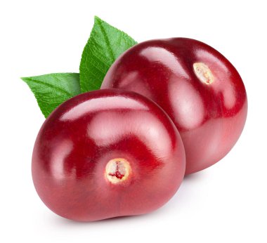 Beyaz yapraklı iki kiraz. Kiraz Kırpma Yolu. Kiraz makrosu atışı