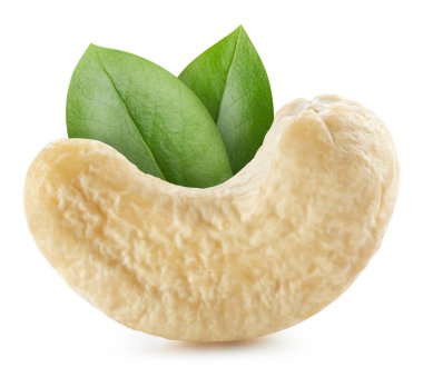 Beyaz arka planda yaprakları olan kaju fıstığı. Kaju kırpma yolu.