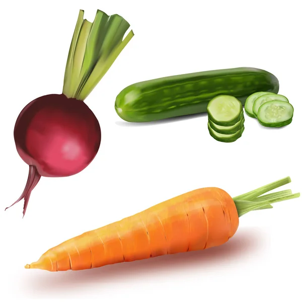 Beetroot Carrot Cucumber Illustration Transparent — Stock Vector