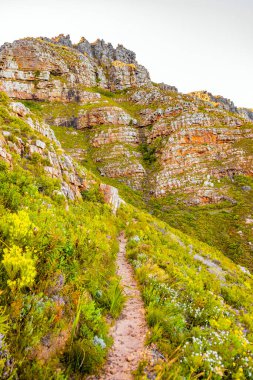 Dirt Track hiking paths on top of a mountain by the coast in Cape Town