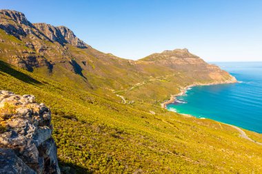 Chapman Tepesi Kıyı Dağları Cape Town Güney Afrika 'da fynbos flora ile