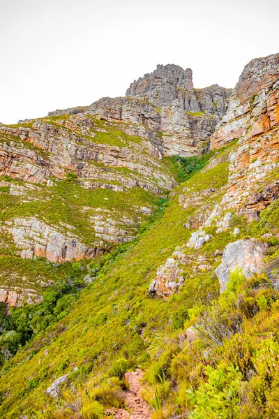 Rugged Mountain Landscape Fynbos Flora Cape Town South Africa — Foto Stock