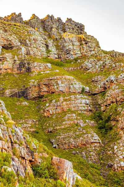 Rugged Mountain Landscape Fynbos Flora Kapské Město Jihoafrická Republika — Stock fotografie