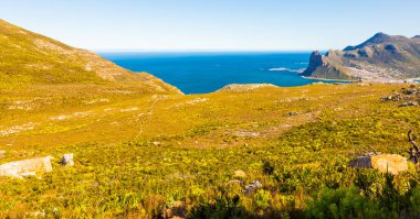 Cape Town, Güney Afrika 'da Fynbos Flora ile Hout Körfezi Kıyı Dağları manzarası