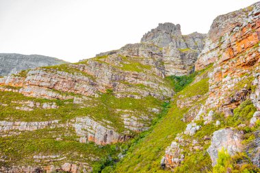 Rugged mountain landscape with fynbos flora in Cape Town, South Africa