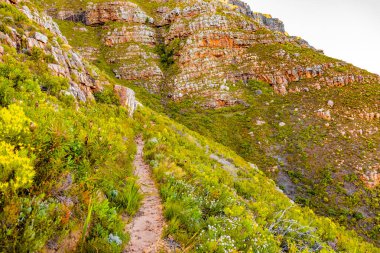 Cape Town sahilindeki bir dağın tepesindeki toprak patika yürüyüş yolları.