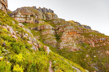 Dirt Track hiking paths on top of a mountain by the coast in Cape Town