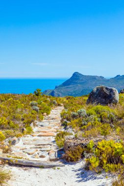 Cape Town sahilindeki bir dağın tepesindeki toprak patika yürüyüş yolları.