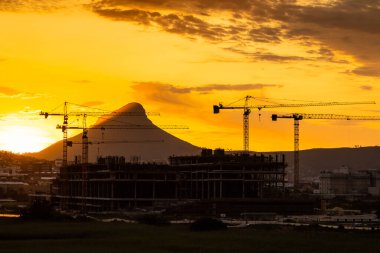 Cape Town, Güney Afrika 'da gün batımında inşaat vinçleri