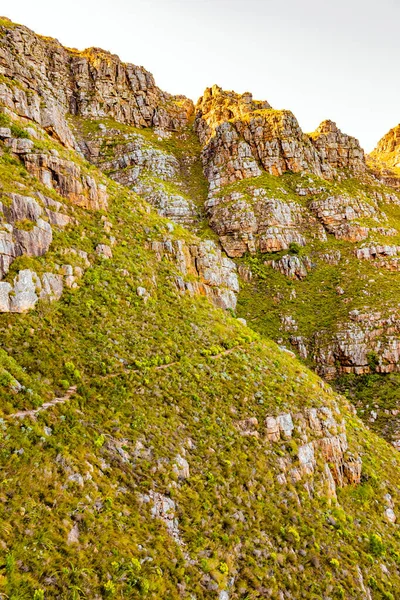 Dirt Track Hiking Paths Top Mountain Coast Cape Town — Zdjęcie stockowe