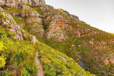 Dirt Track hiking paths on top of a mountain by the coast in Cape Town