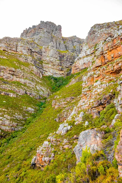 Rugged Mountain Landscape Fynbos Flora Cape Town South Africa — Foto Stock