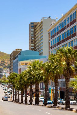 Cape Town, Güney Afrika - 7 Aralık 2022: Palmiye ağaçlı şehir binalarının sokak manzarası