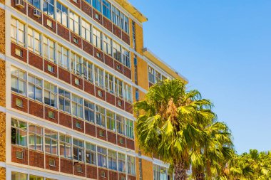 Cape Town 'da cam cepheli modern apartman dairesi.