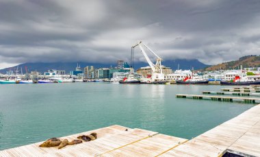 Cape Town, Güney Afrika - 8 Mart 2023: V ve A Rıhtım Limanı