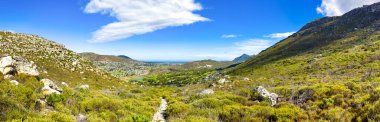 Cape Town sahilindeki bir dağın tepesindeki toprak patika yürüyüş yolları.
