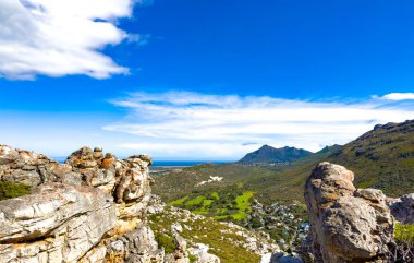 Coastal mountain landscape with fynbos flora in Fish Hoek, Cape Town.	