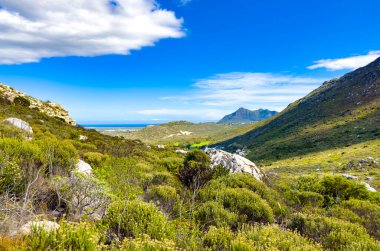 Coastal mountain landscape with fynbos flora in Fish Hoek, Cape Town.	