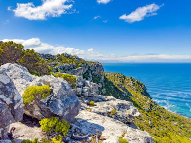 Cape Town, Güney Afrika 'daki Fynbos Flora ile sahil dağ manzarası