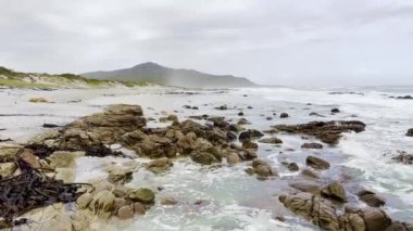 Misty Cliffs Scarborough Cape Town, Güney Afrika 'da dalgalar kıyı kayalarına çarpıyor.