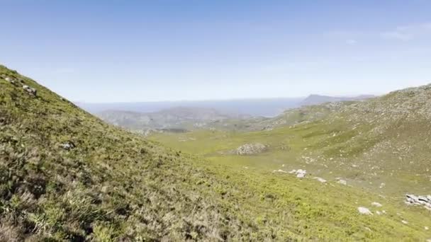 Hout Bay Coastal Berglandschap Met Fynbos Flora Kaapstad — Stockvideo