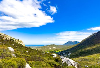 Coastal mountain landscape with fynbos flora in Fish Hoek, Cape Town.	