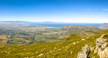 Coastal mountain landscape with fynbos flora in Cape Town, South Africa