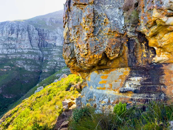 Cape Town, Güney Afrika 'daki fynbos flora ile engebeli dağ manzarası