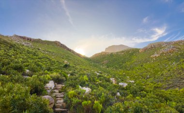 Cape Town kıyısındaki bir dağın tepesindeki toprak patika yürüyüş yolları.