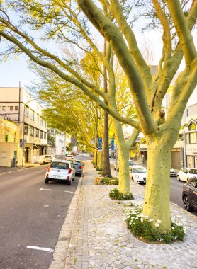 Cape Town, Güney Afrika - 30 Ekim 2023: CBD 'deki binaların sokak manzarası