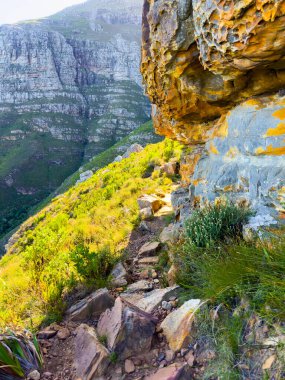 Rugged mountain landscape with fynbos flora in Cape Town, South Africa