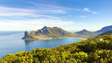 Hout Körfezi Kıyı Dağları Cape Town, Güney Afrika 'da fynbos flora ile