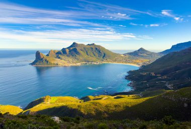 Hout Körfezi Kıyı Dağları Cape Town, Güney Afrika 'da fynbos flora ile