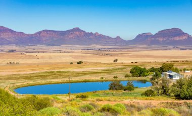 Güney Afrika 'nın Namaqualand bölgesinde çiftçi barajı