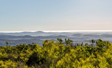 Güney Afrika 'nın Namaqualand bölgesinde puslu sabah dağları