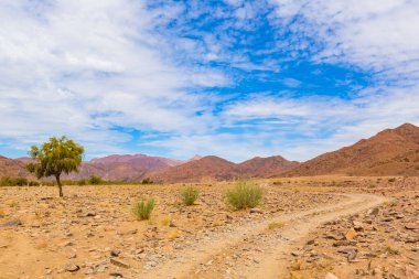 Richtersveld Ulusal Parkı 'ndaki toprak arazinin yanında seyrek bitki örtüsü. Güney Afrika' nın çorak bölgesi.