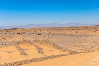 Orange sand dunes in the Richtersveld National Park, South Afric clipart
